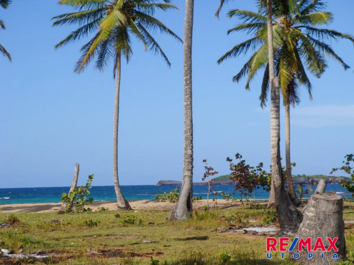 Terreno frente a playa en Samaná, foto 4