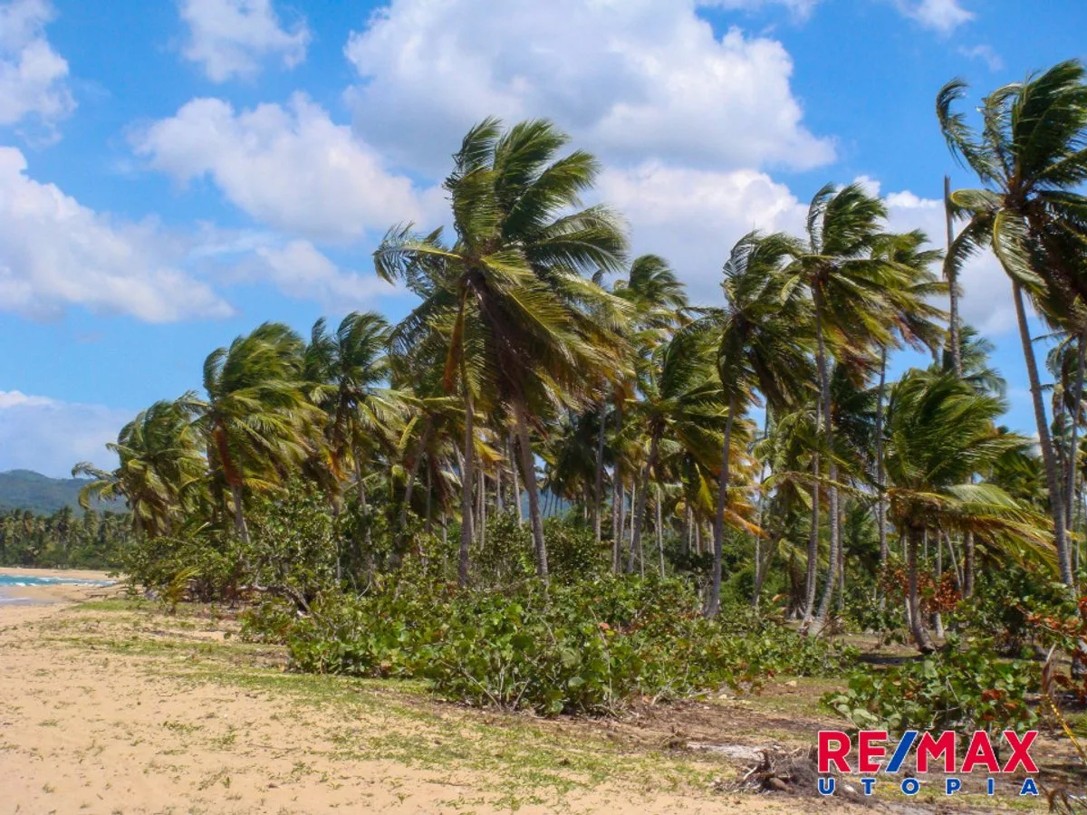 Terreno frente a playa en Samaná, foto 5