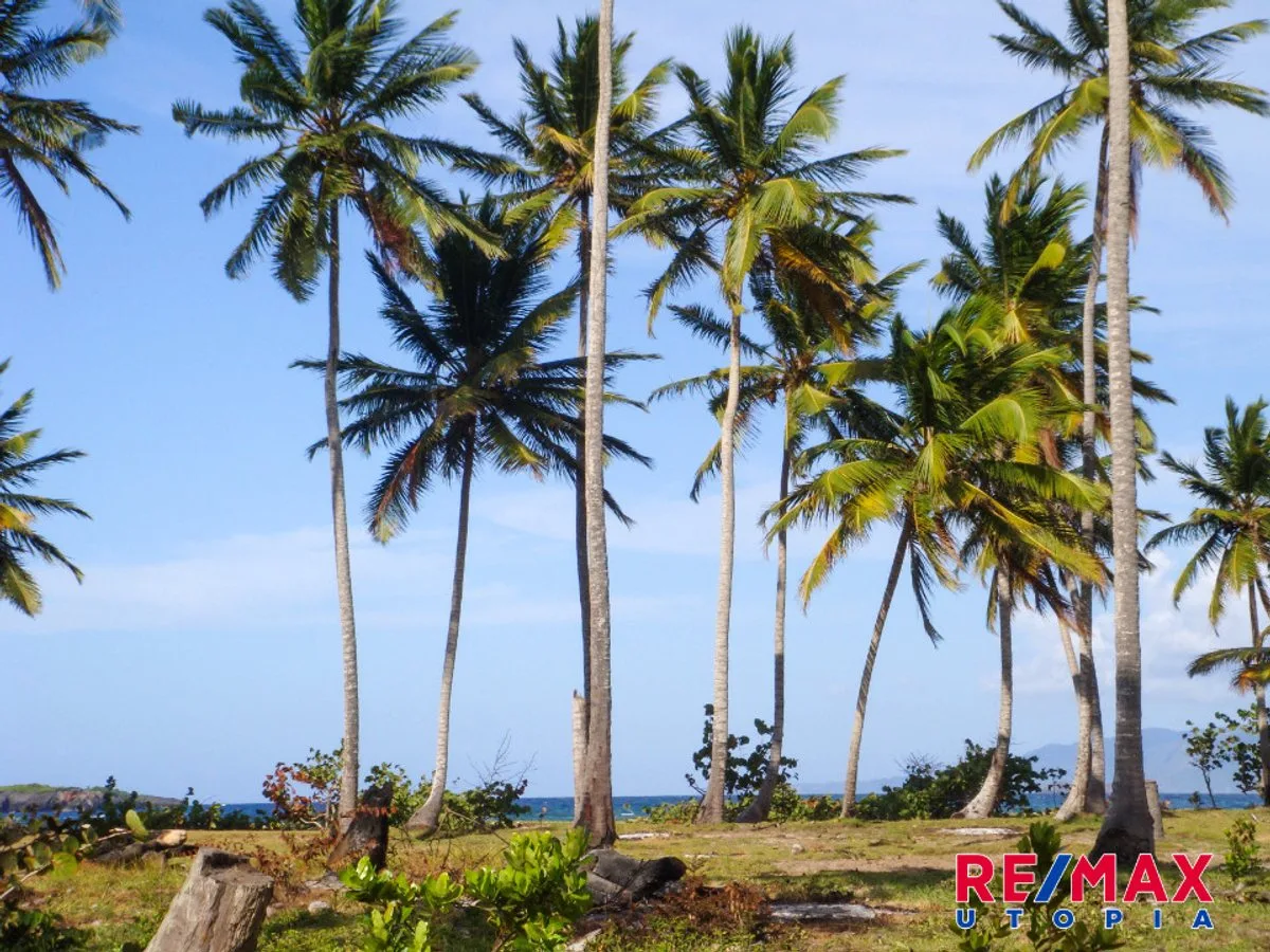 Terreno frente a playa en Samaná, foto 6