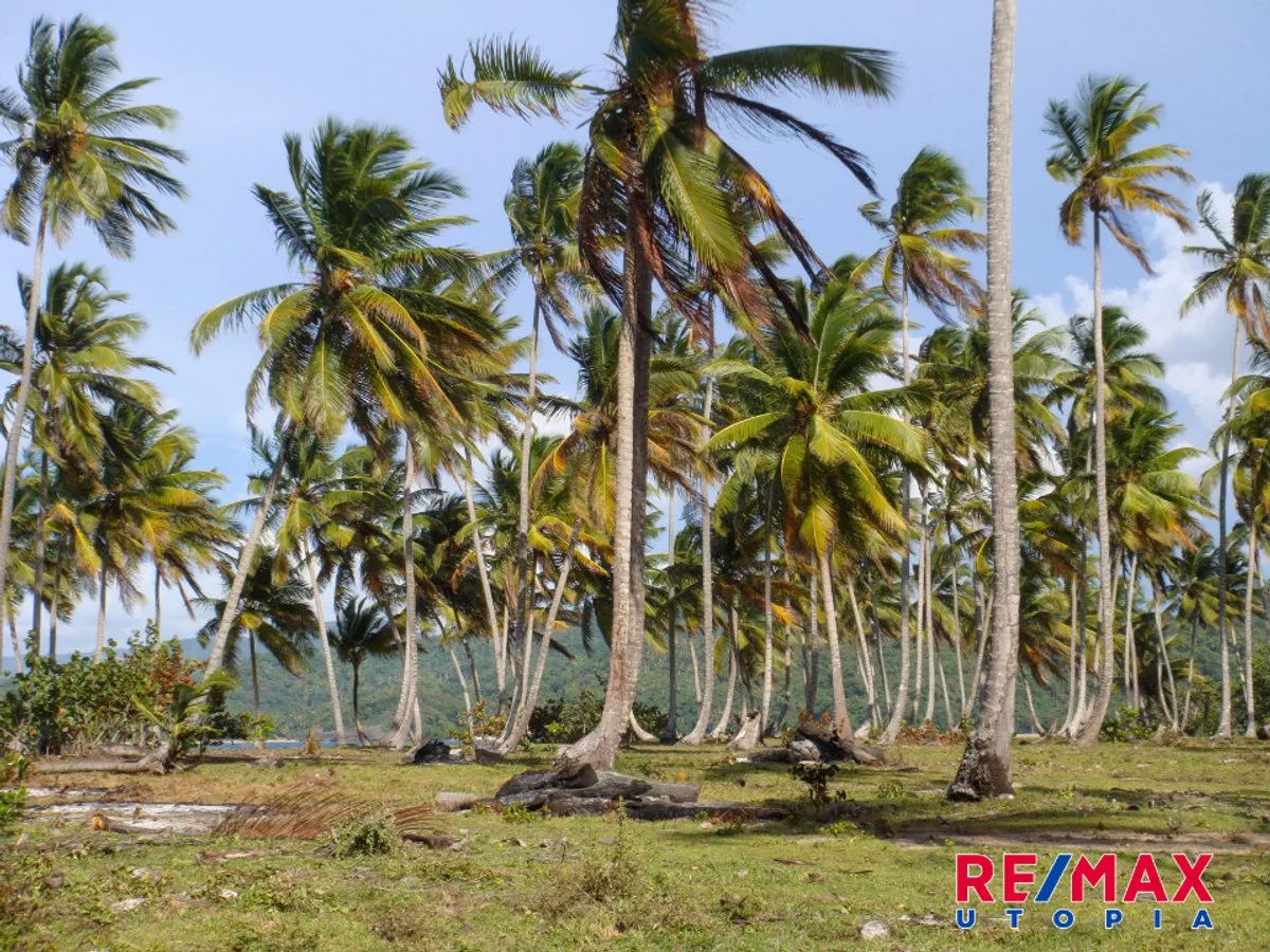 Terreno frente a playa en Samaná, foto 7