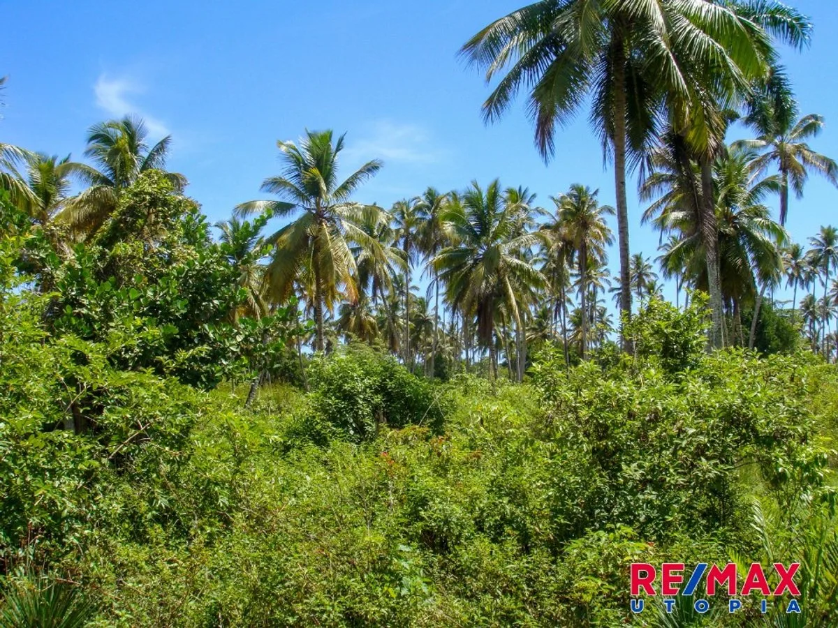Terreno frente a playa en Samaná, foto 8