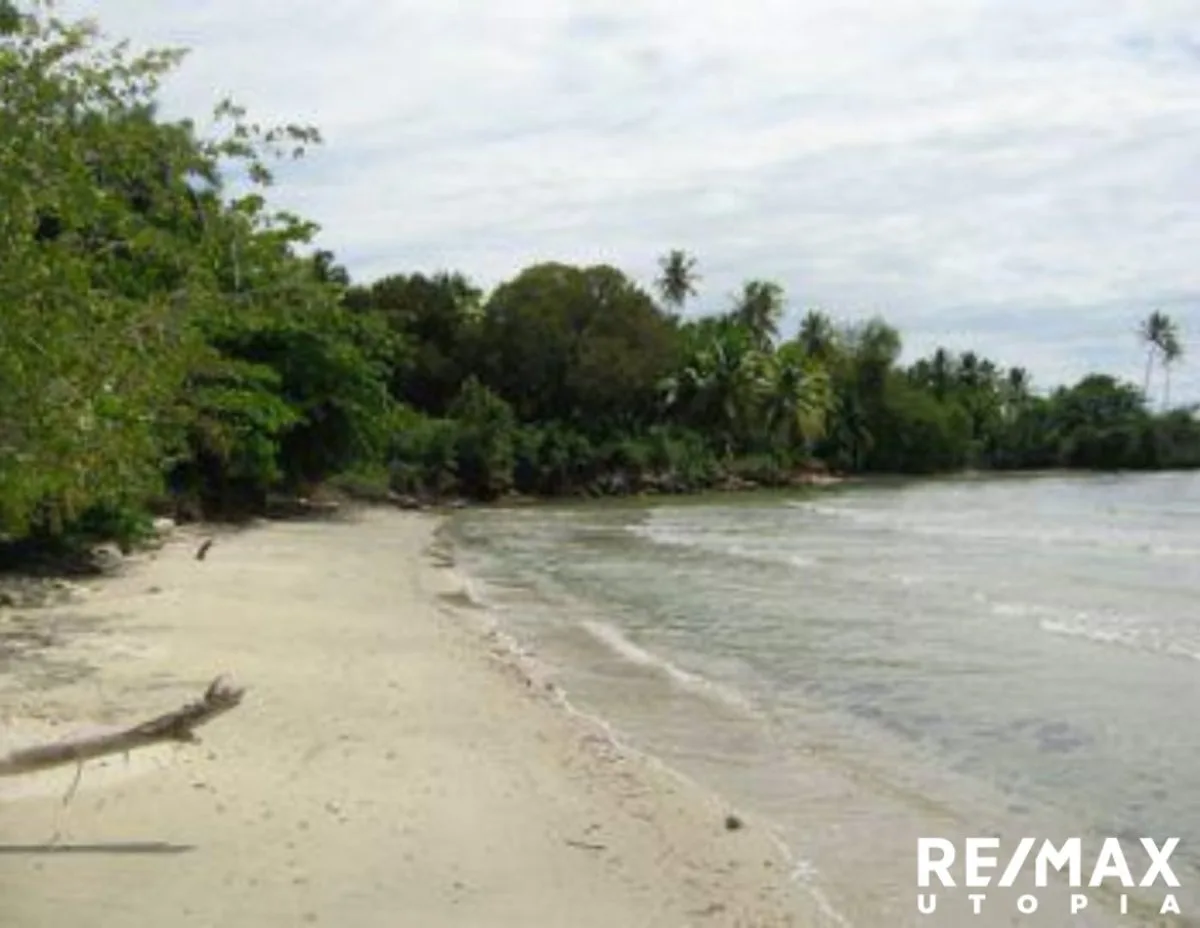 Terreno En Río Los Cocos, Samaná, foto 2