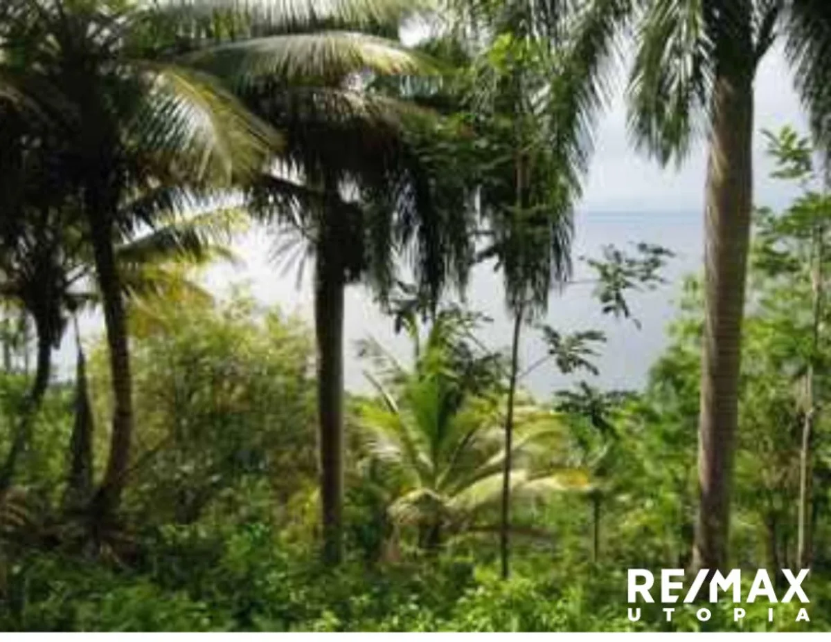 Terreno En Río Los Cocos, Samaná, foto 6