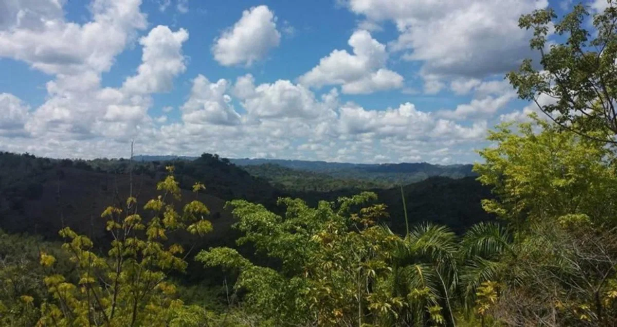 Terreno en Gaspar Hernández , La Ermita con vista al mar, foto 4