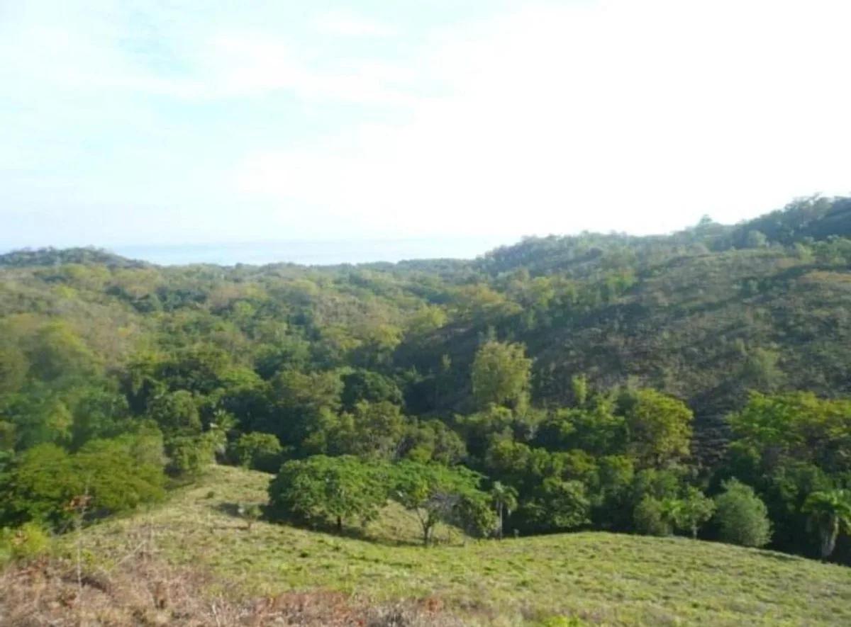 Terreno en Gaspar Hernández , La Ermita con vista al mar, foto 5