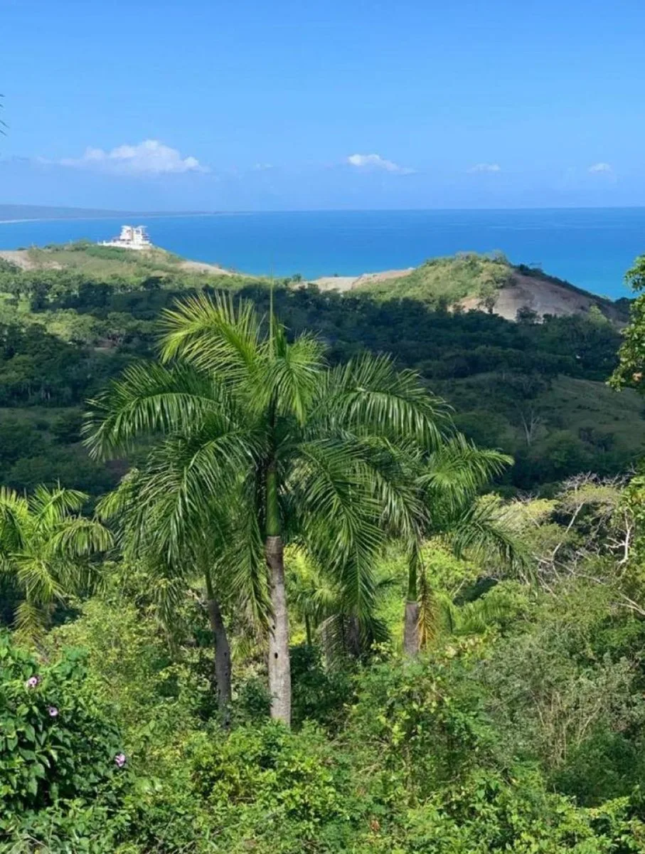 Terreno en Gaspar Hernández , La Ermita con vista al mar, foto 7