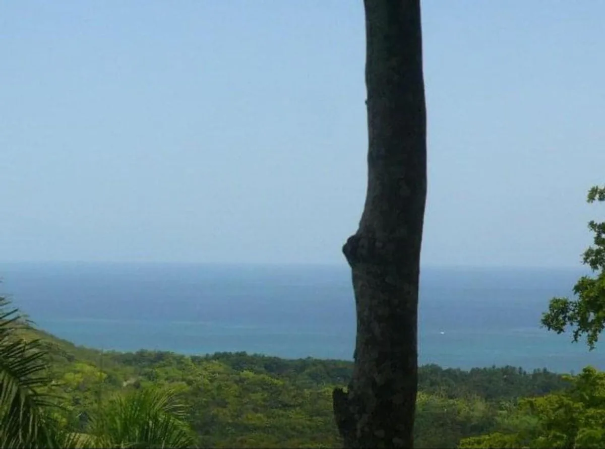 Terreno en Gaspar Hernández , La Ermita con vista al mar, foto 9