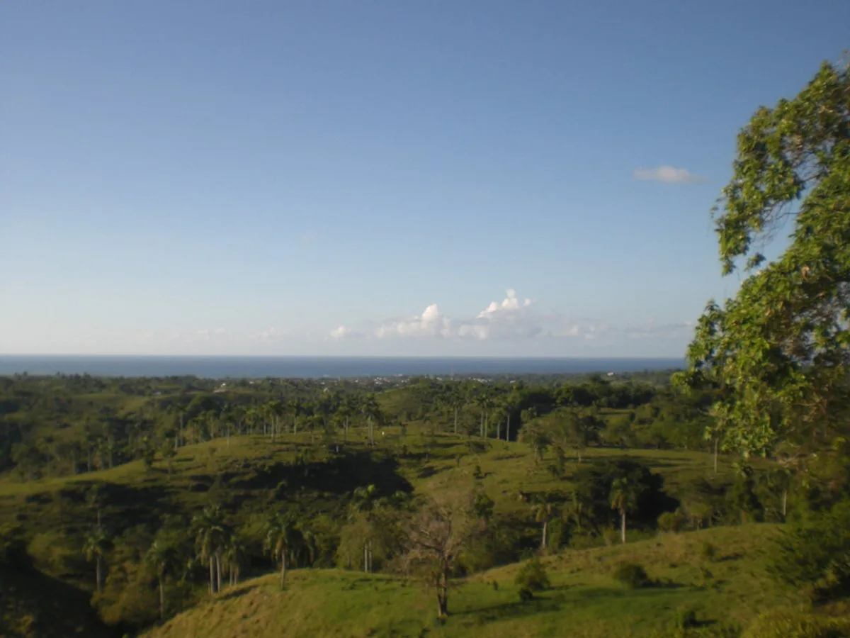 Terreno de 7,398 m² ,Vista al Mar, foto 2