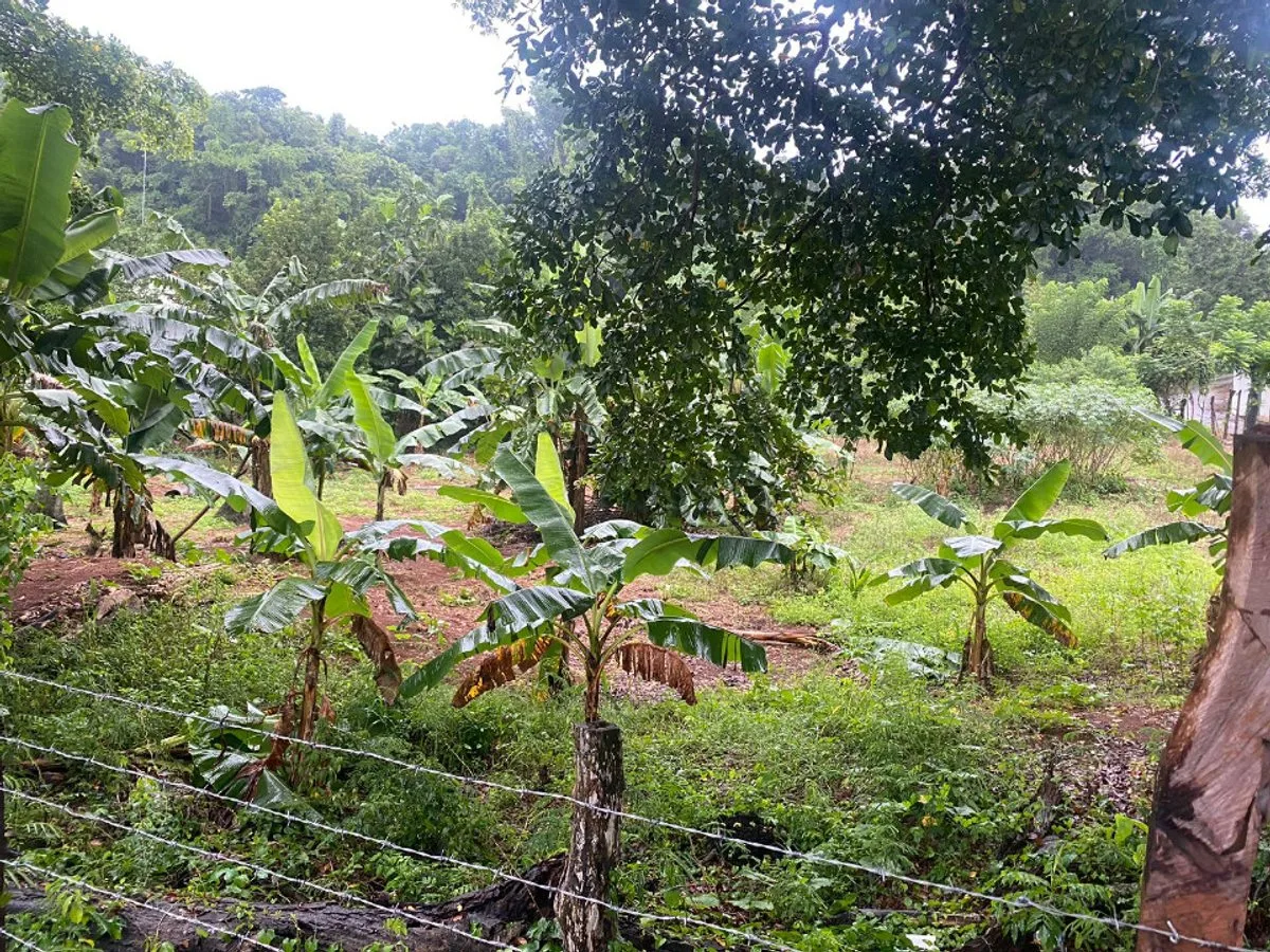 Terreno en Venta en Río San Juan, foto 2