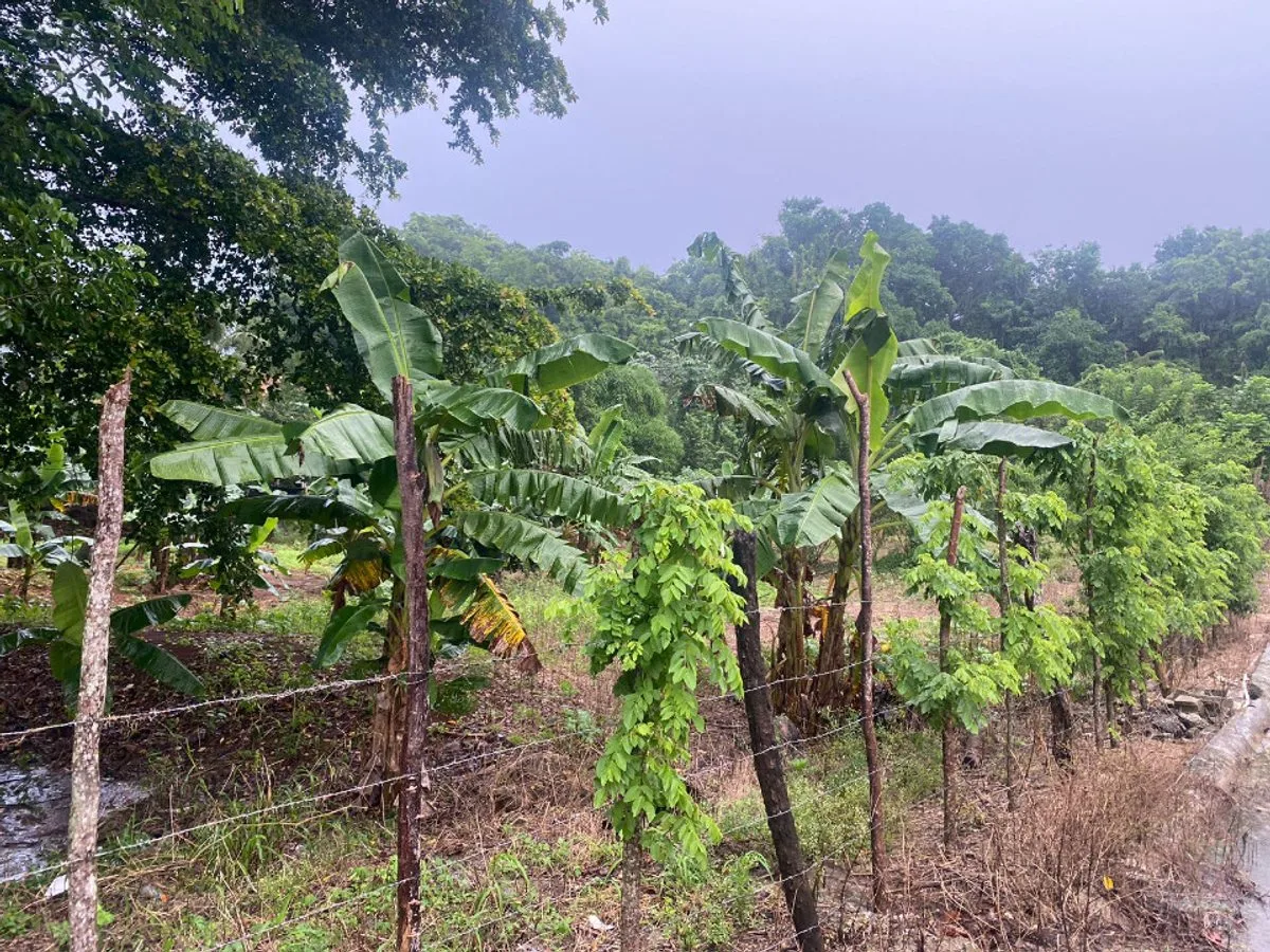 Terreno en Venta en Río San Juan, foto 3