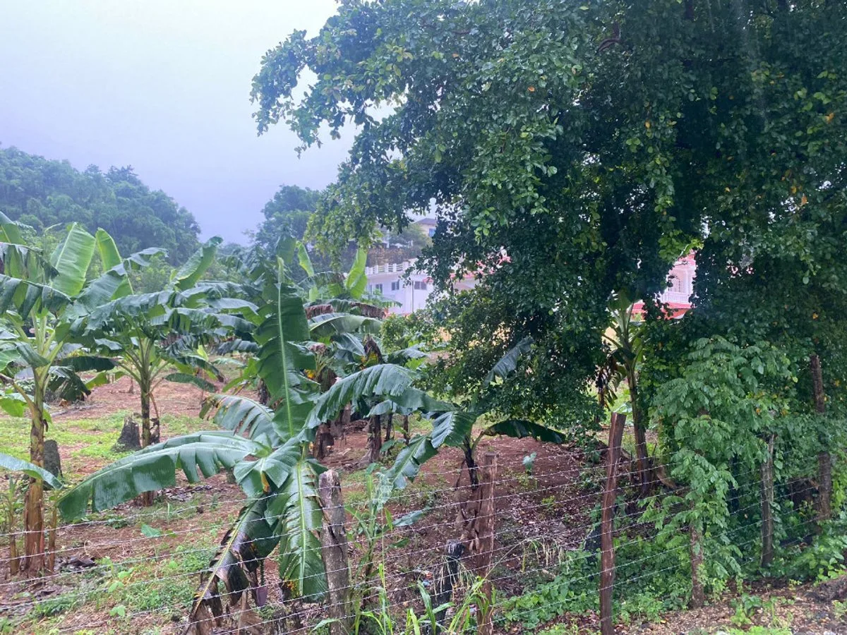 Terreno en Venta en Río San Juan, foto 6