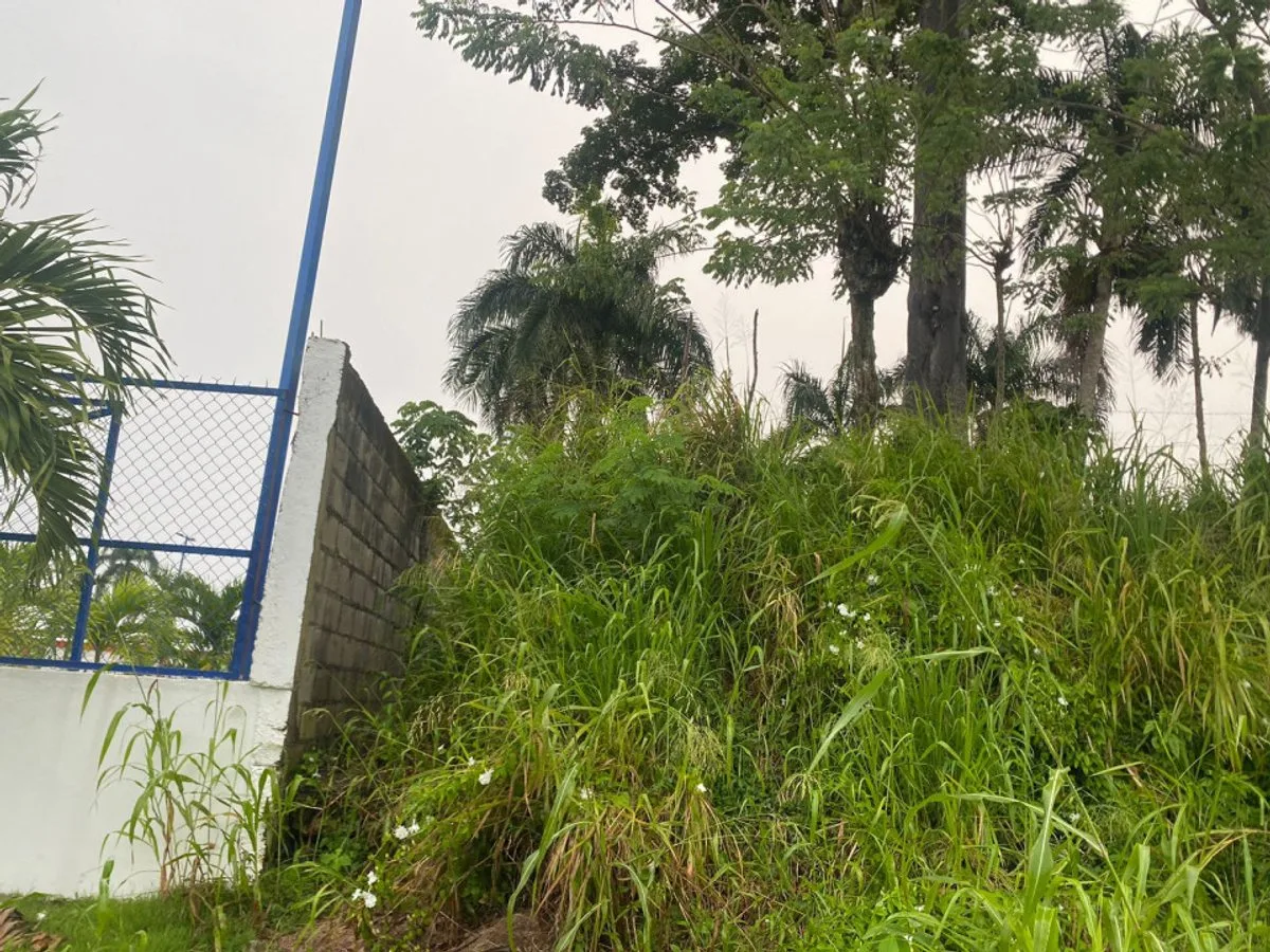 Terreno en Gaspar Hernández, La Cantera, foto 2