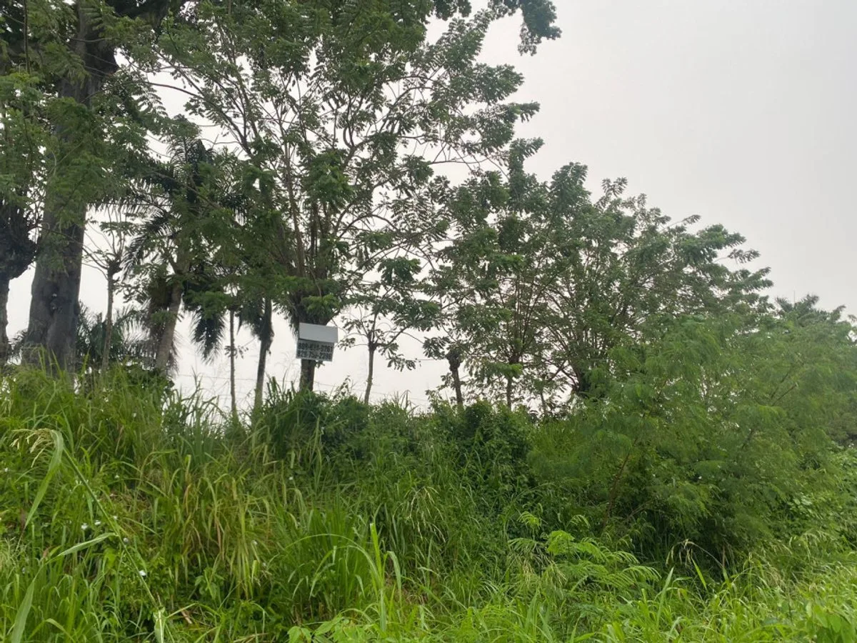 Terreno en Gaspar Hernández, La Cantera, foto 4
