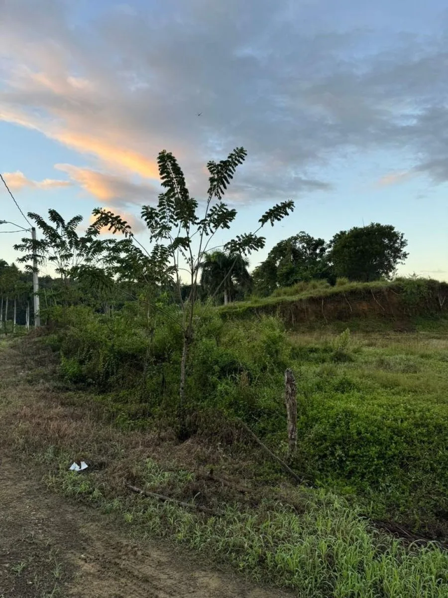 Terreno in vendita a Río San Juan, 1117 m², foto 4