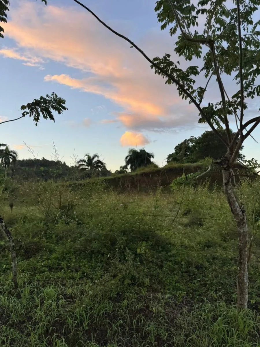 Terreno in vendita a Río San Juan, 1117 m², foto 7