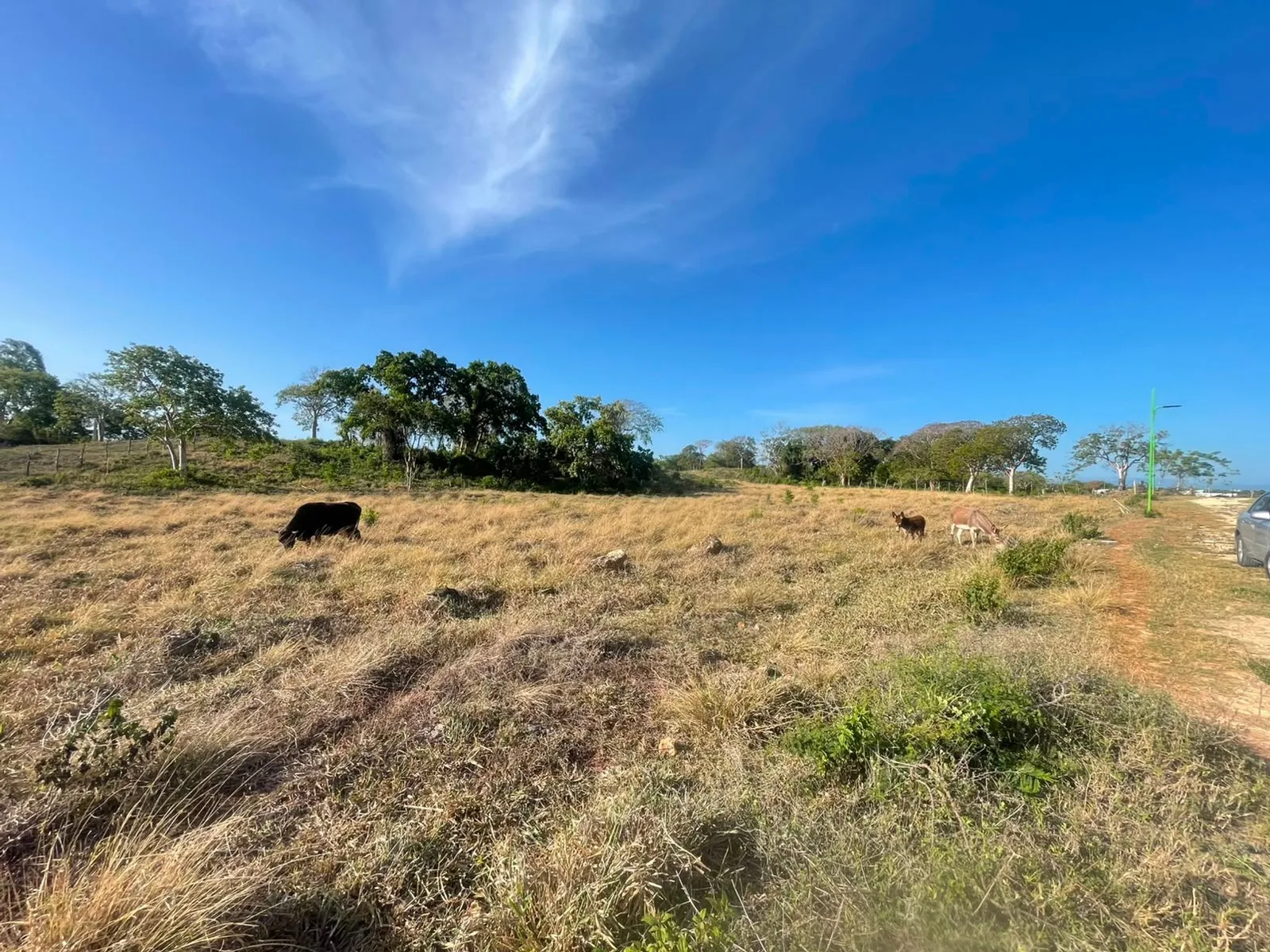 Grundstück von 1.494,74 m² in Lomas Mironas, Sosúa, Foto 5