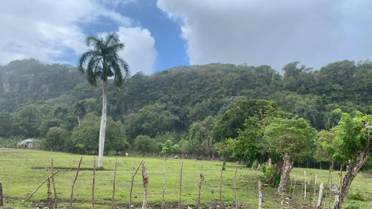 Terreno en Cabrera, Sector Abreu, foto 2