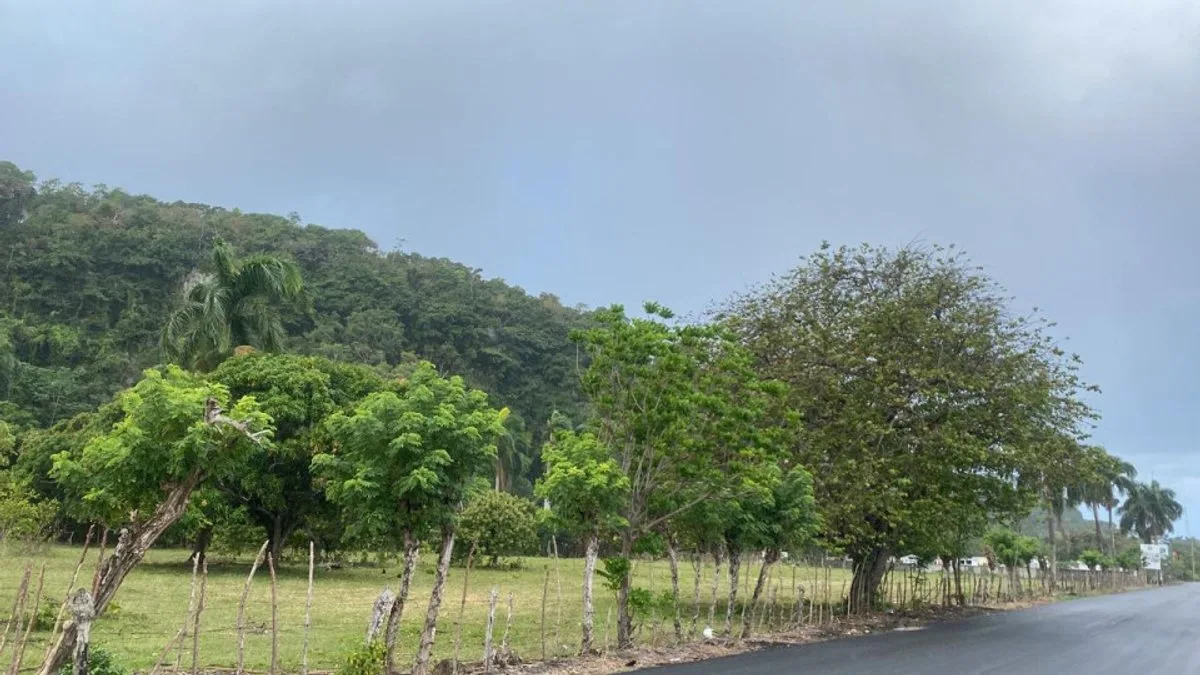 Terreno en Cabrera, Sector Abreu, foto 3