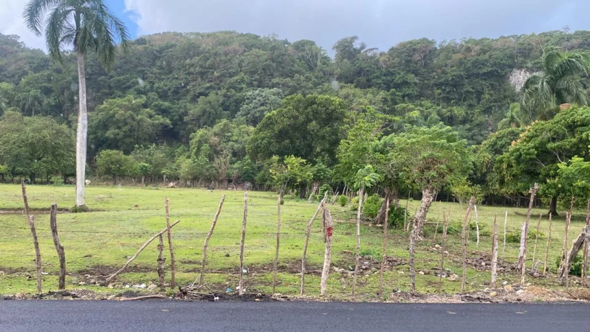 Terreno en Cabrera, Sector Abreu, foto 4