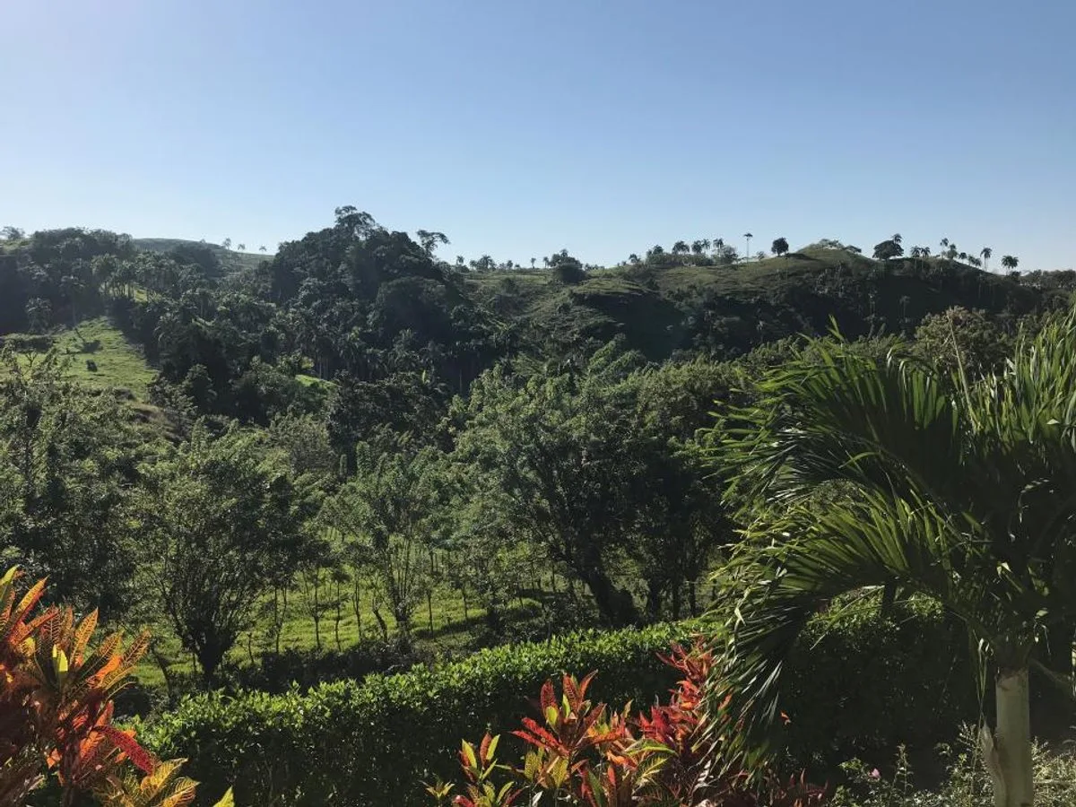 House in Arroyo Grande, Río San Juan, photo 3