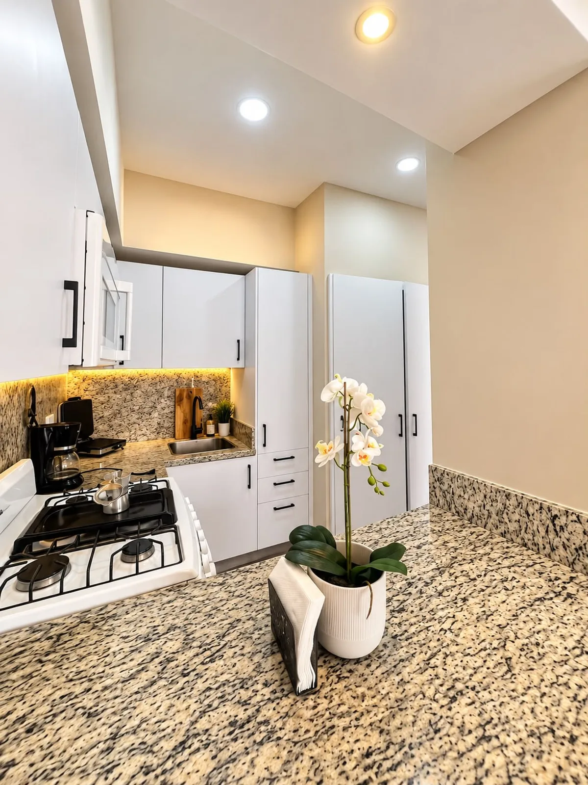 APARTMENT FOR SALE 1 BEDROOM NACO SANTO DOMINGO, photo 4