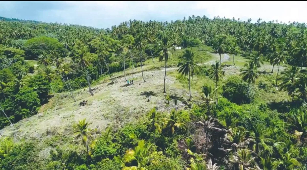 Terreno en Samaná, Loma de la Piña, foto 2