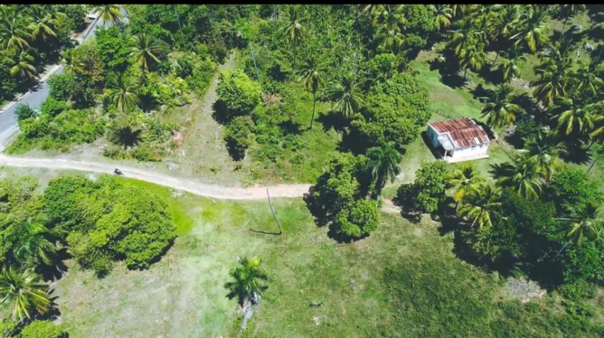 Terreno en Samaná, Loma de la Piña, foto 5