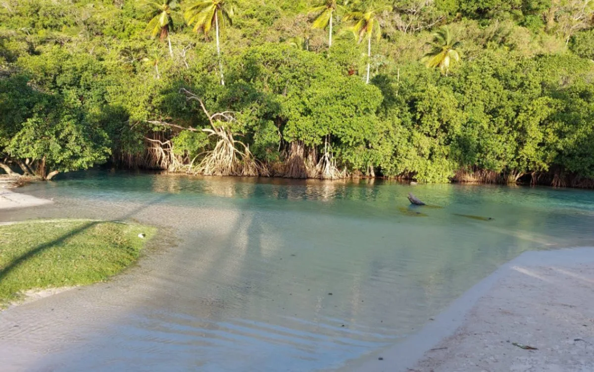 Luxushaus in Samaná, Rincón, Foto 13