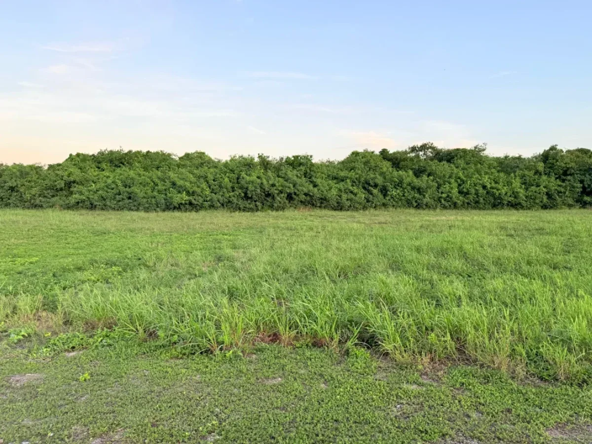 Terreno en Racquet Village Cap Cana US$285 mil (US$189/m²), foto 9