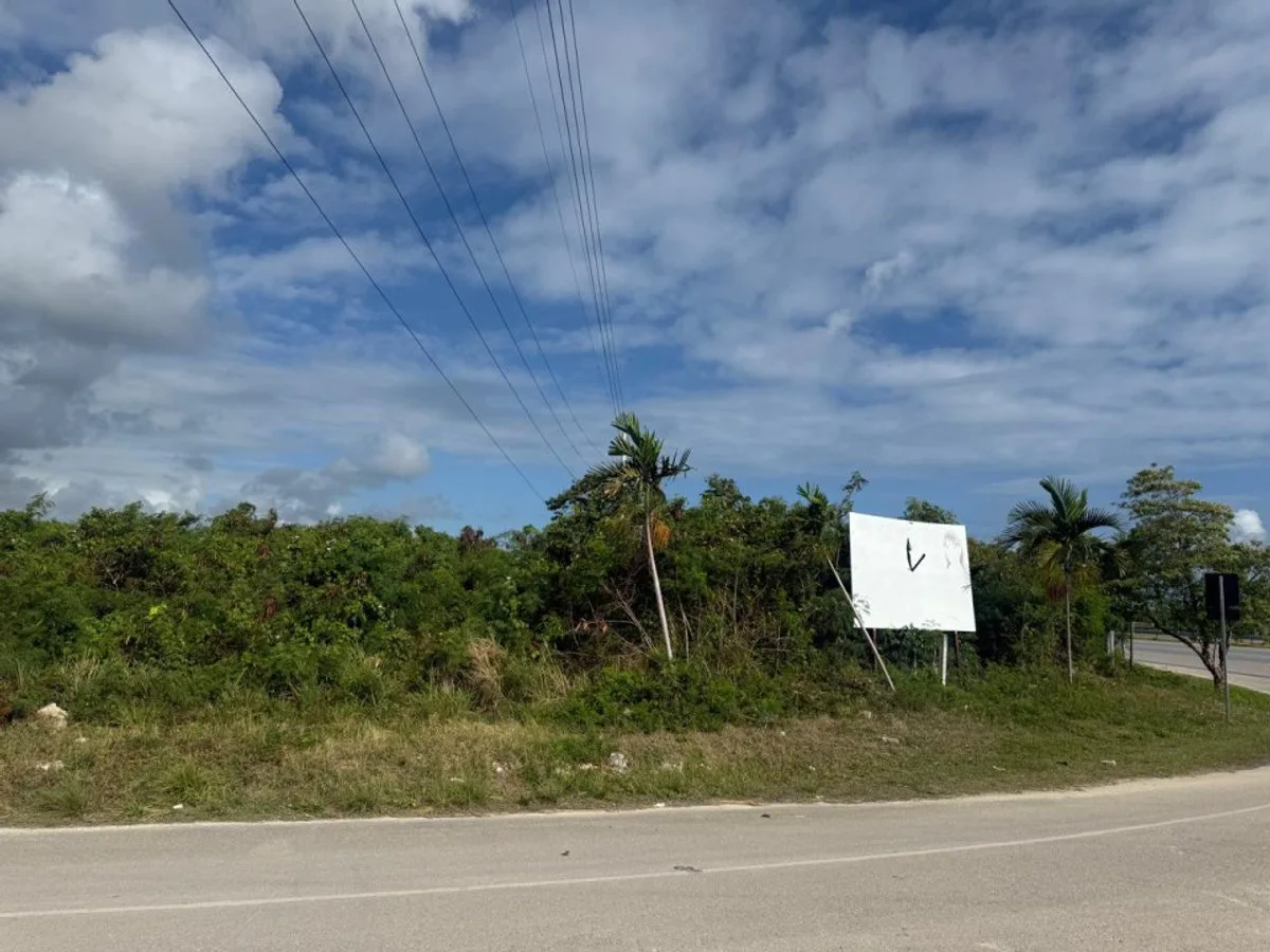 STRATEGIC LAND IN THE IBEROSTAR BÁVARO CORRIDOR, photo 3