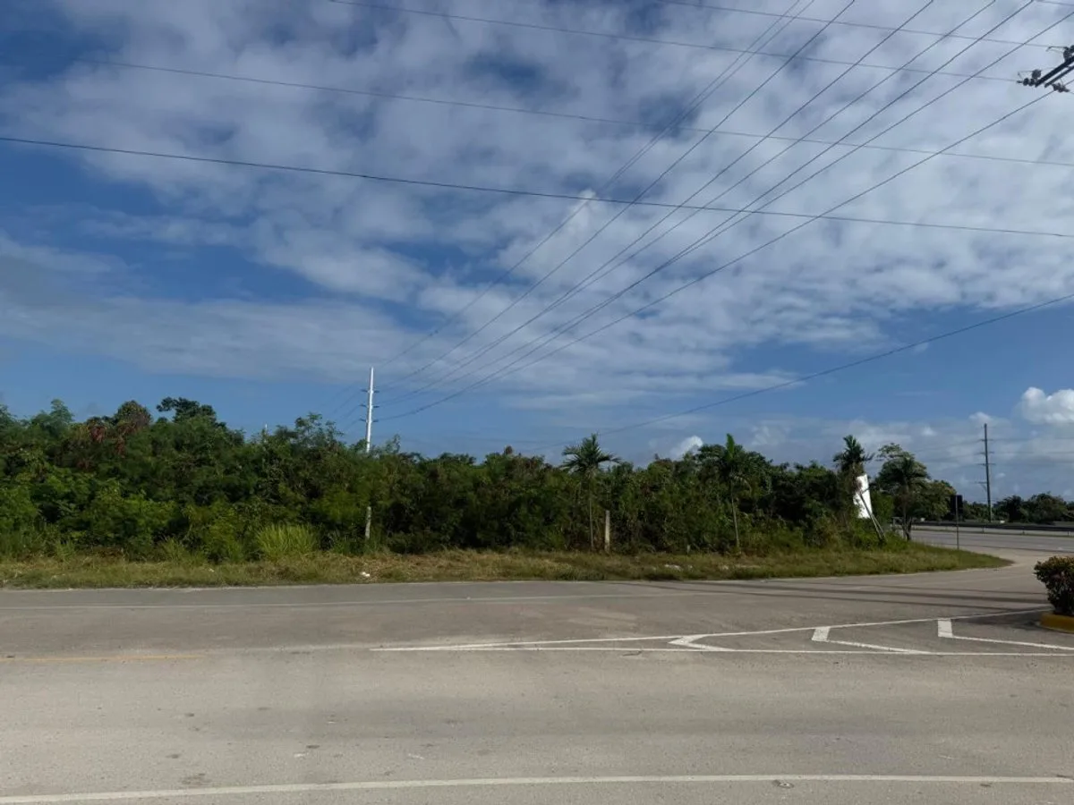 STRATEGIC LAND IN THE IBEROSTAR BÁVARO CORRIDOR, photo 4