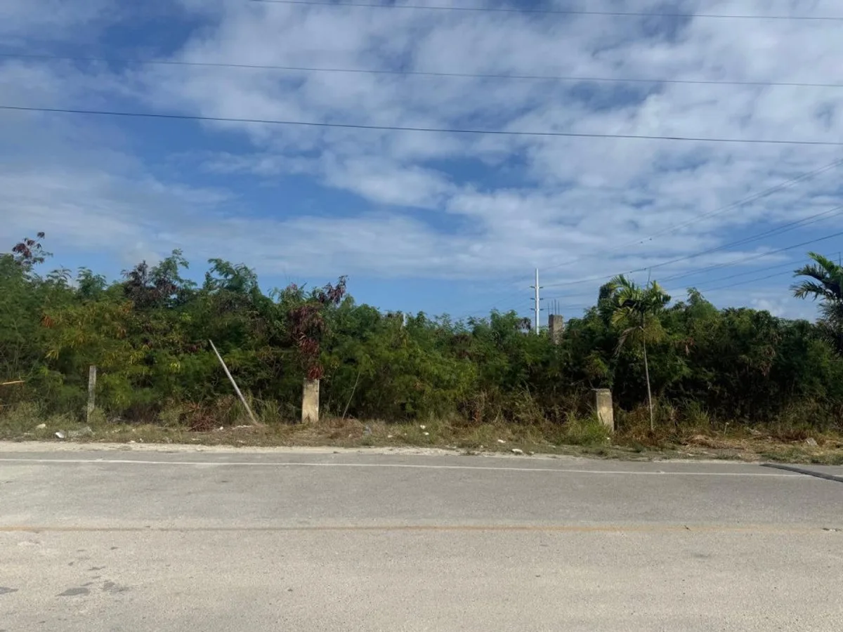 STRATEGIC LAND IN THE IBEROSTAR BÁVARO CORRIDOR, photo 5