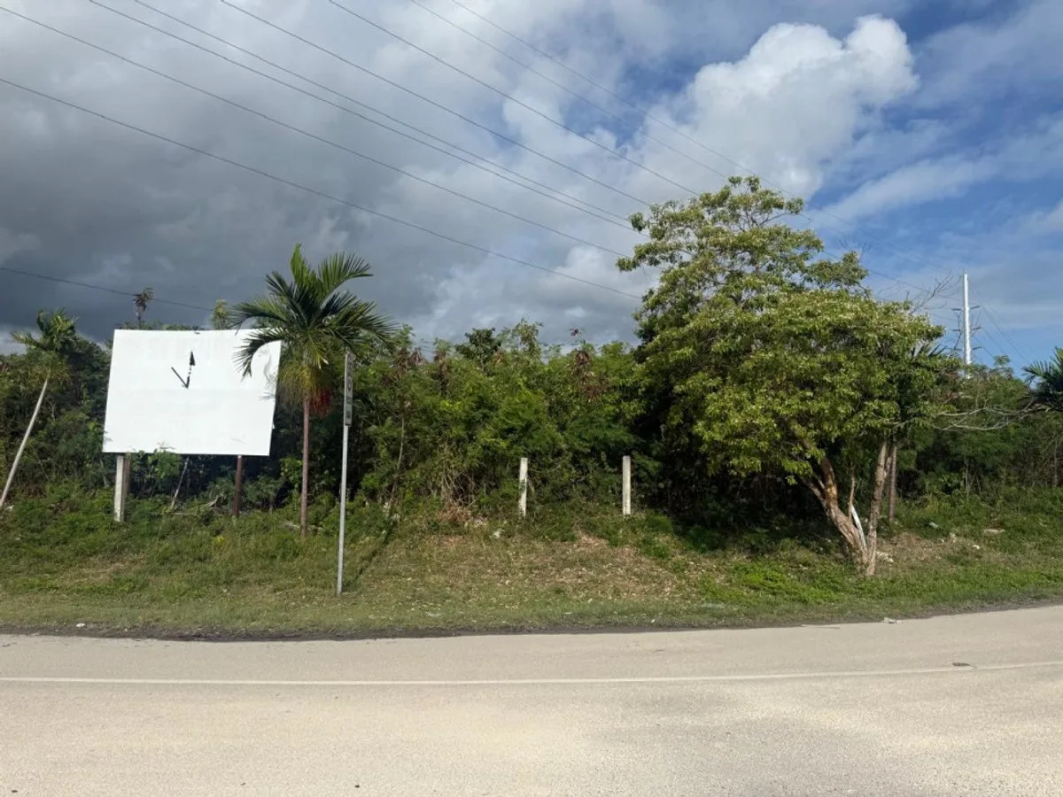 STRATEGIC LAND IN THE IBEROSTAR BÁVARO CORRIDOR, photo 6