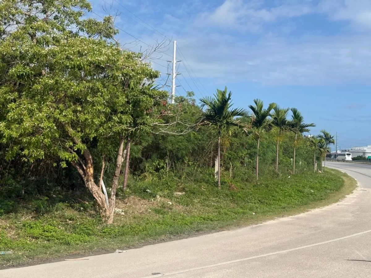STRATEGIC LAND IN THE IBEROSTAR BÁVARO CORRIDOR, photo 7