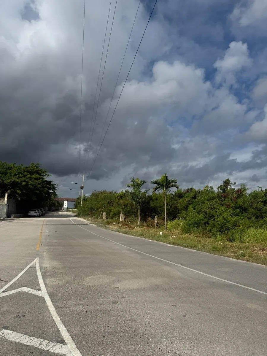 STRATEGIC LAND IN THE IBEROSTAR BÁVARO CORRIDOR, photo 8