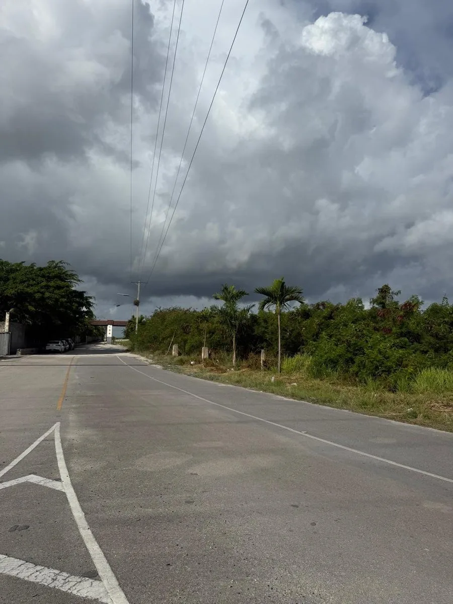 STRATEGIC LAND IN THE IBEROSTAR BÁVARO CORRIDOR, photo 10