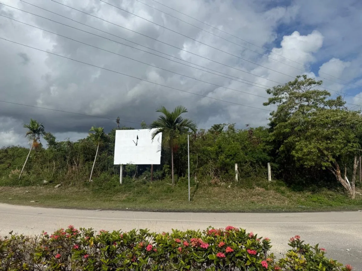 STRATEGIC LAND IN THE IBEROSTAR BÁVARO CORRIDOR, photo 11