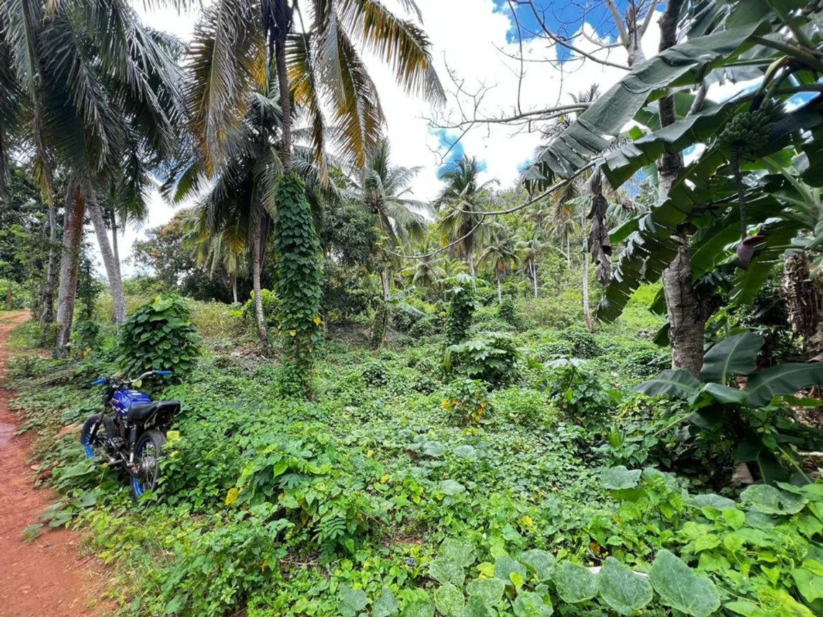 Terrain à Rincon Samana, photo 2