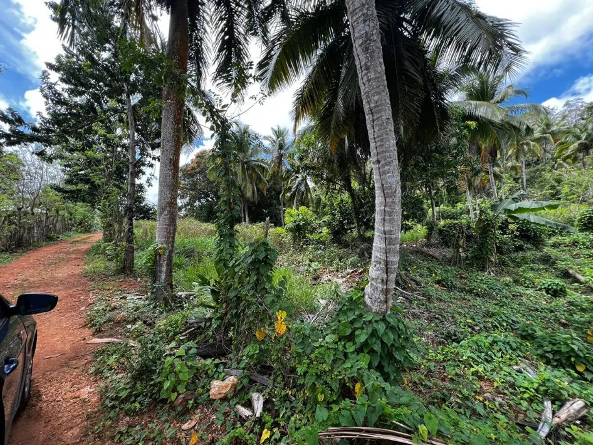 Terrain à Rincon Samana, photo 4