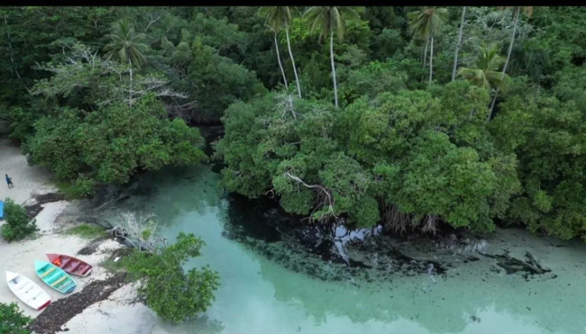 Terrain à Rincon Samana, photo 5