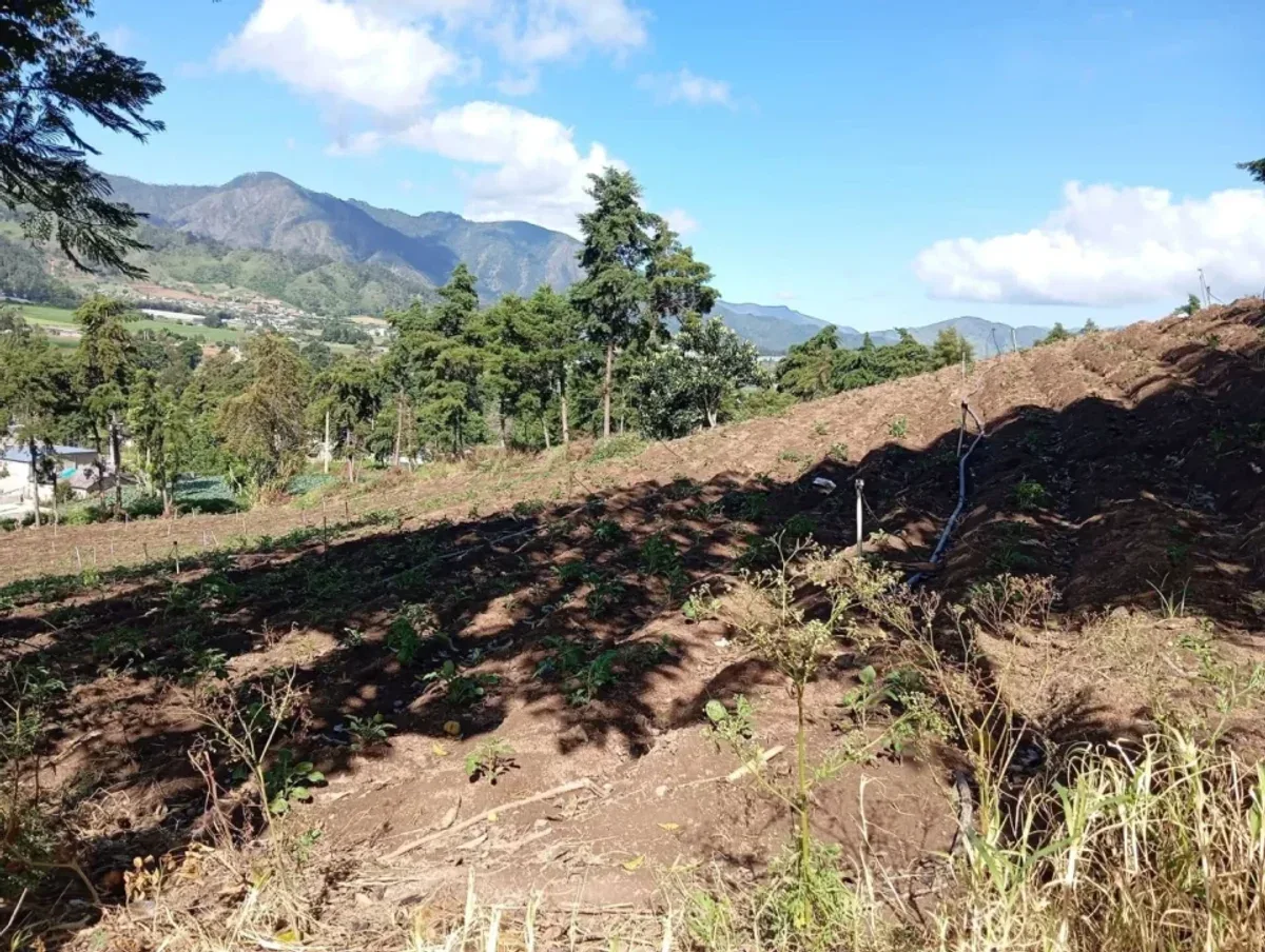 Terreno de inversión en Villa mi Sueño, Jarabacoa, foto 3