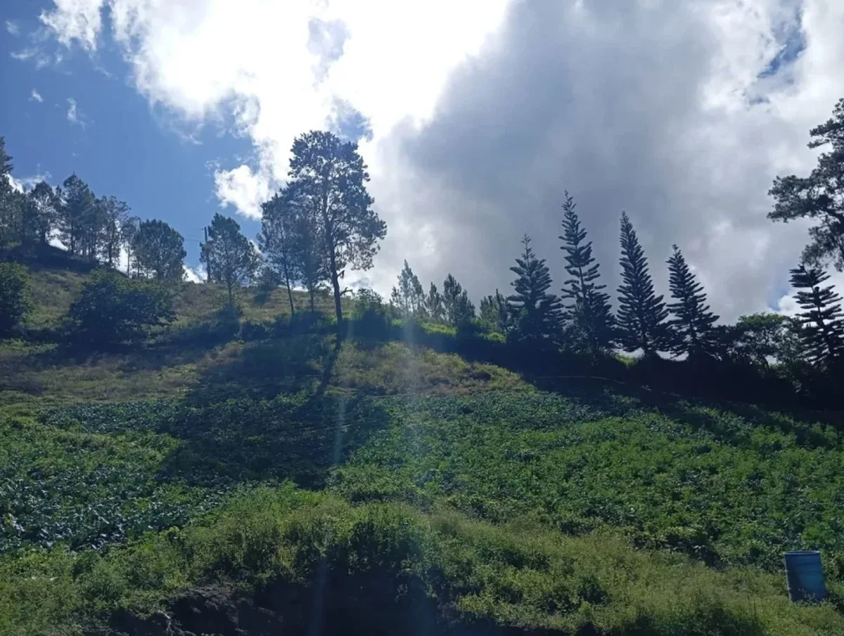 Terreno de inversión en Villa mi Sueño, Jarabacoa, foto 5