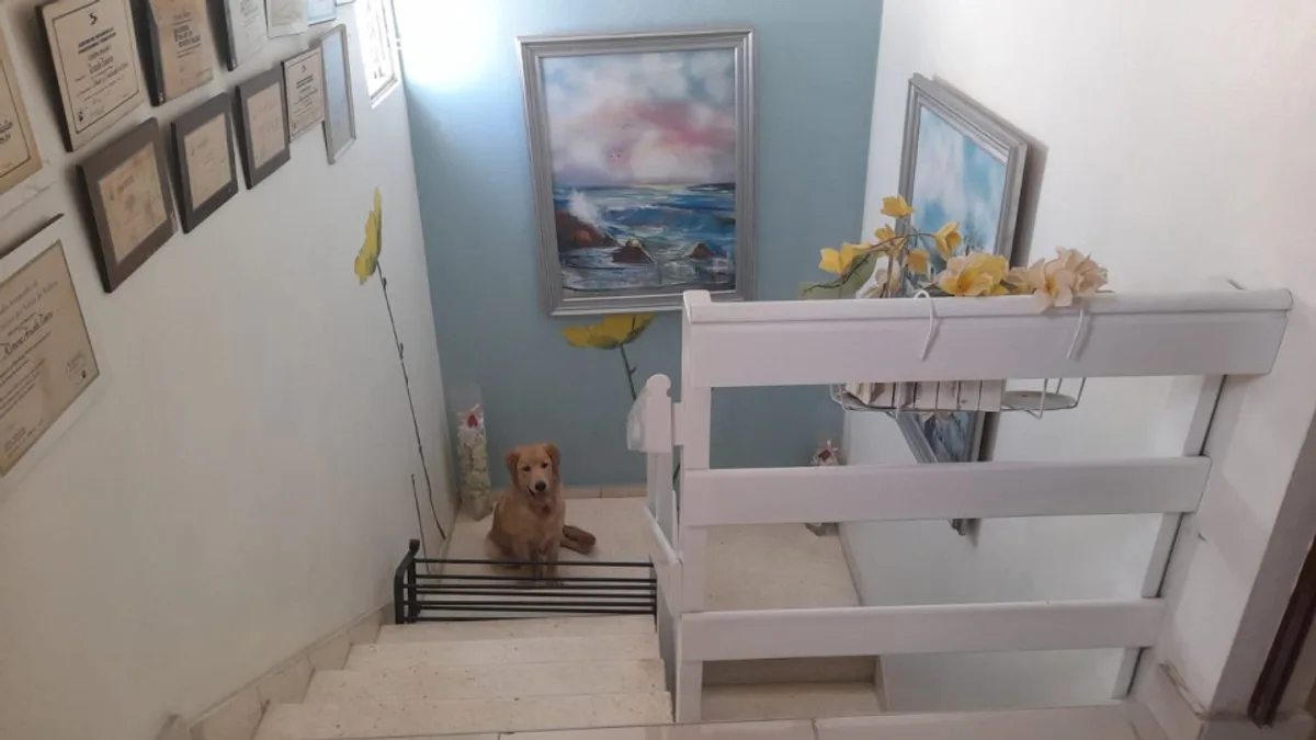 3-Level Townhouse Apartment for Sale, photo 4
