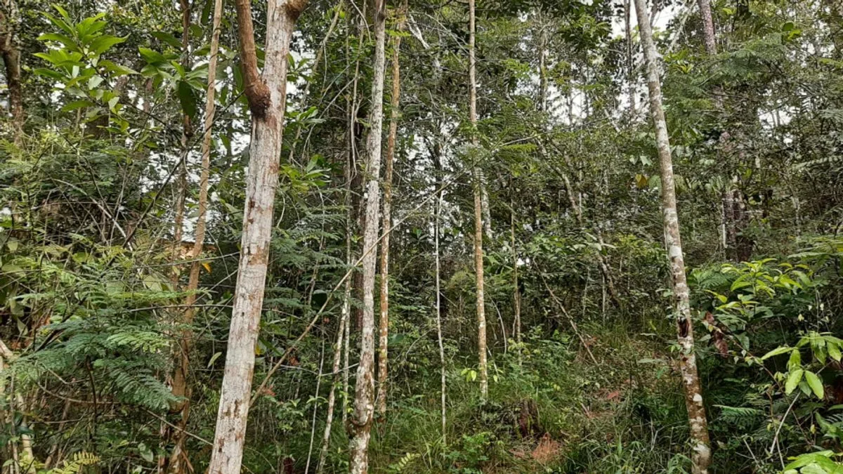 Terreno a Jarabacoa, Buena Vista, 2395 m², foto 4