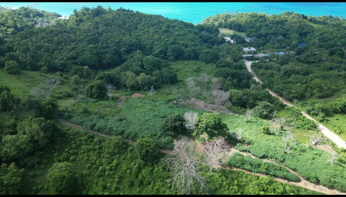 Terrain en vente à Las Terrenas, photo 6