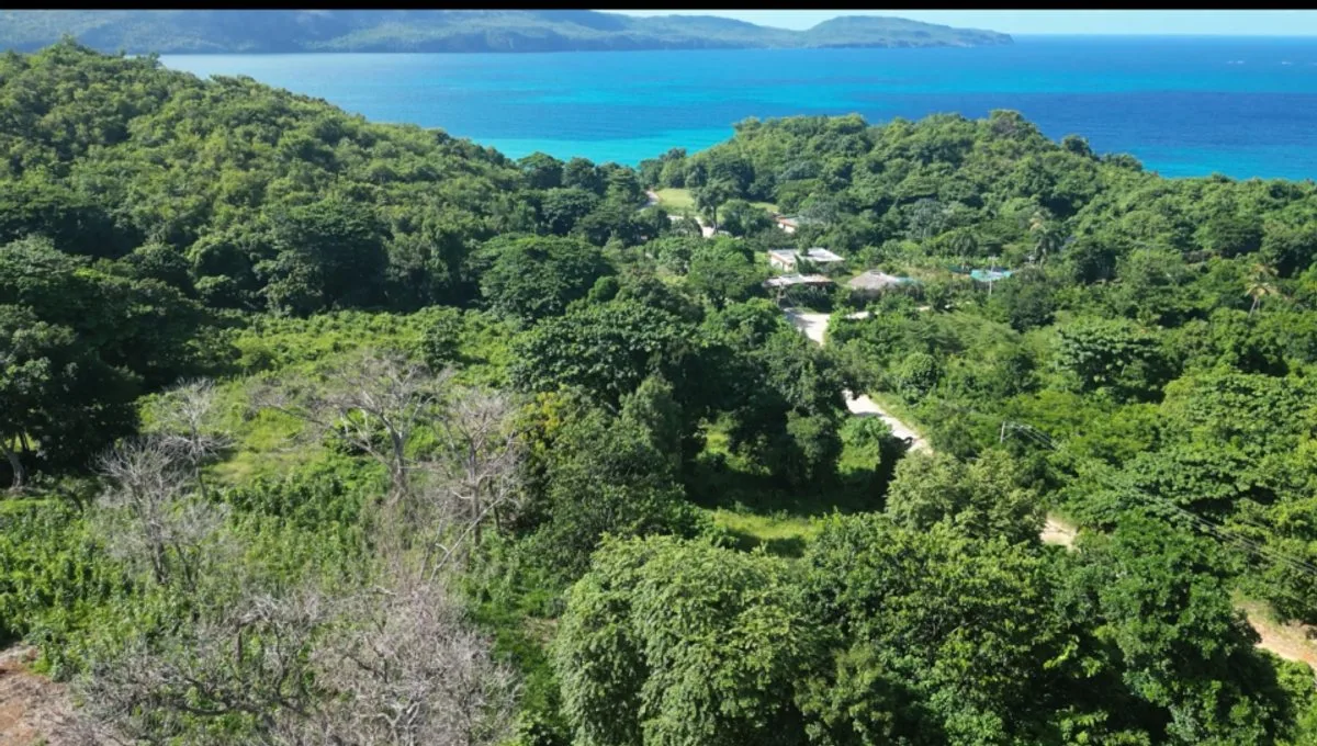 Terrain en vente à Las Terrenas, photo 7
