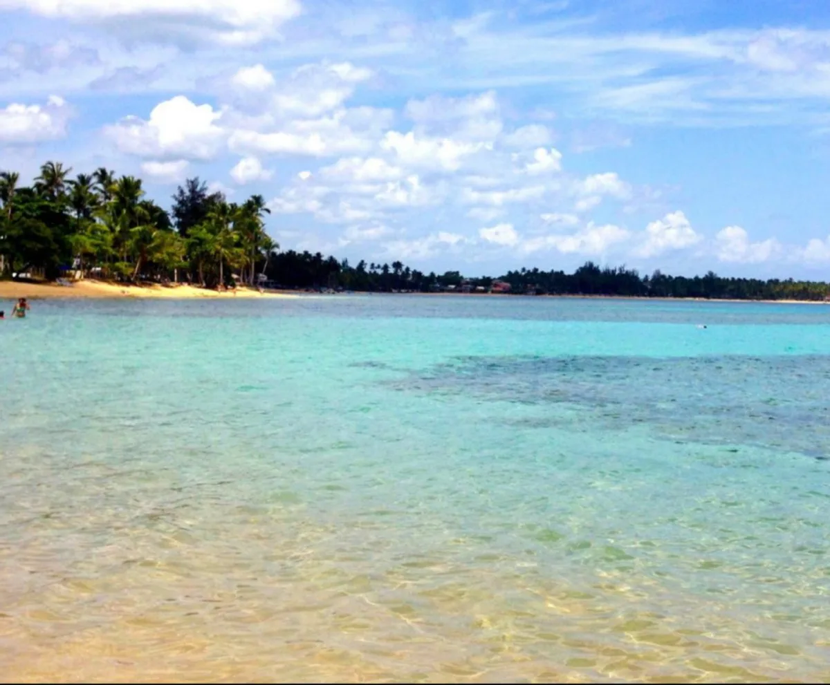 Apartamento en Las Terrenas, El Portillo, foto 5