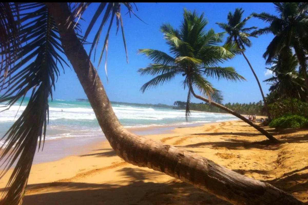 Apartamento en Las Terrenas, El Portillo, foto 7