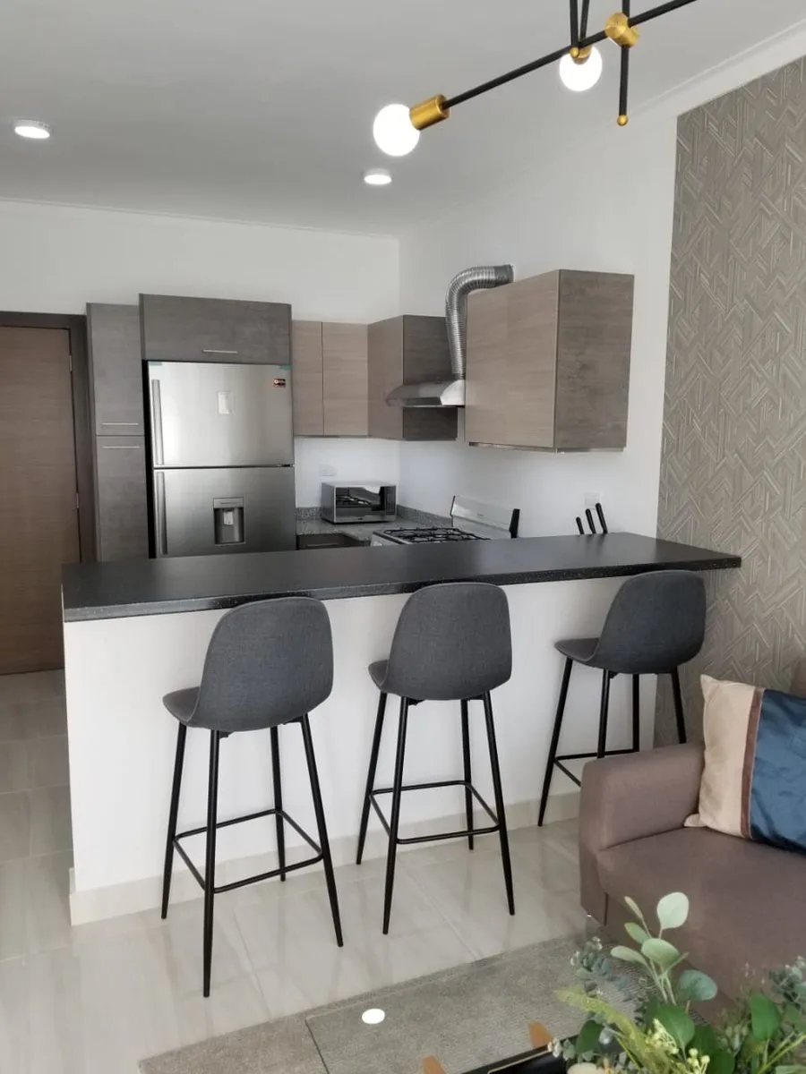 Apartamento Amueblado de 1 habitacion en Evaristo Morales, foto 2