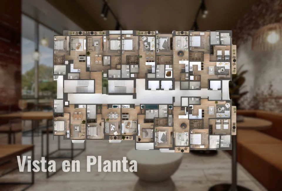 Project in PARAÍSO, photo 5
